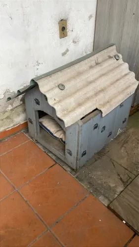 Casinha de cachorro