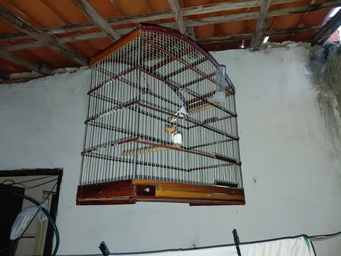 2 GAIOLA GRANDE