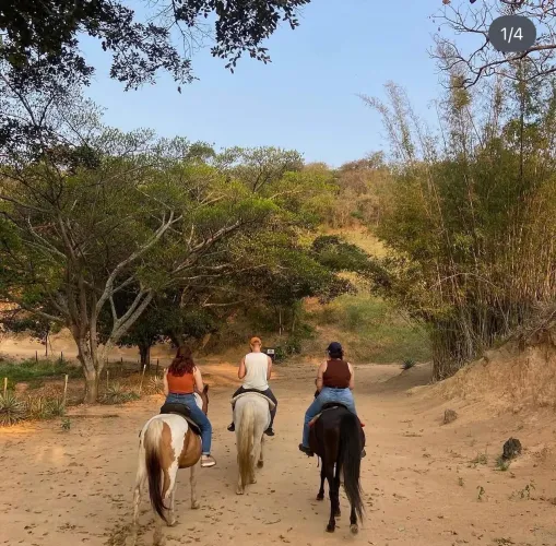 Tratador/trabalhador rural