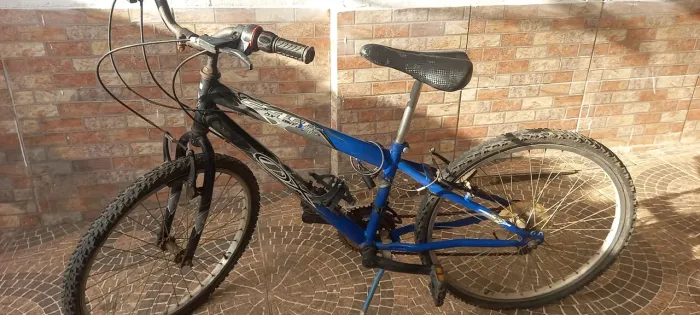 Bicicleta Freedom to Live 240 mf aro 24 com 18 marchas