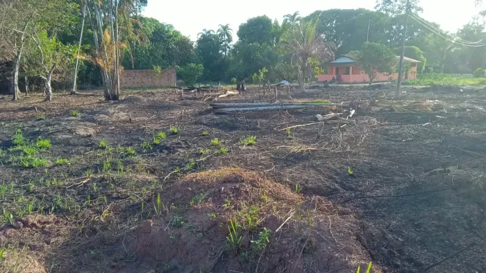 Terreno