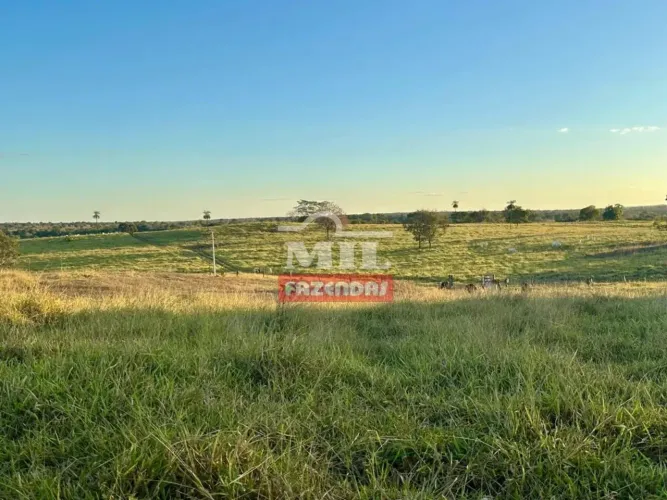 Fazenda 68 alqueires ( 329 hectares ) Campos Verdes-GO