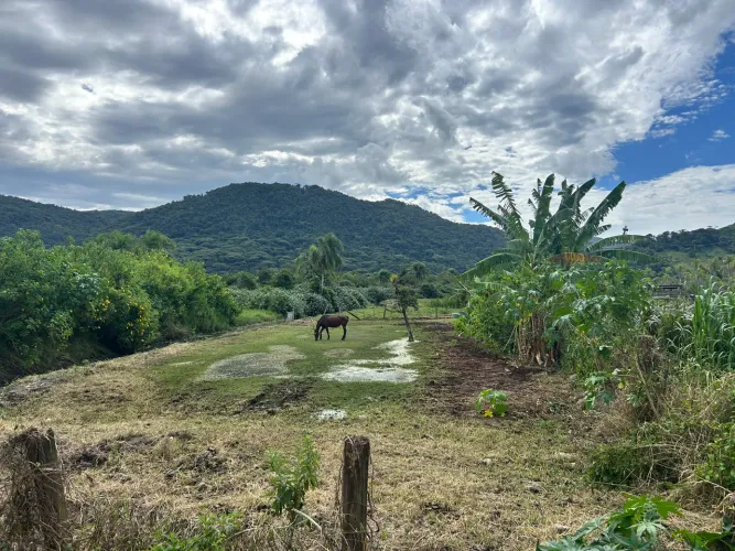 Vendo terreno no Rio Tavares