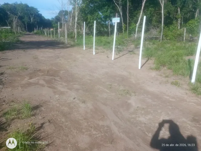 Terreno 
