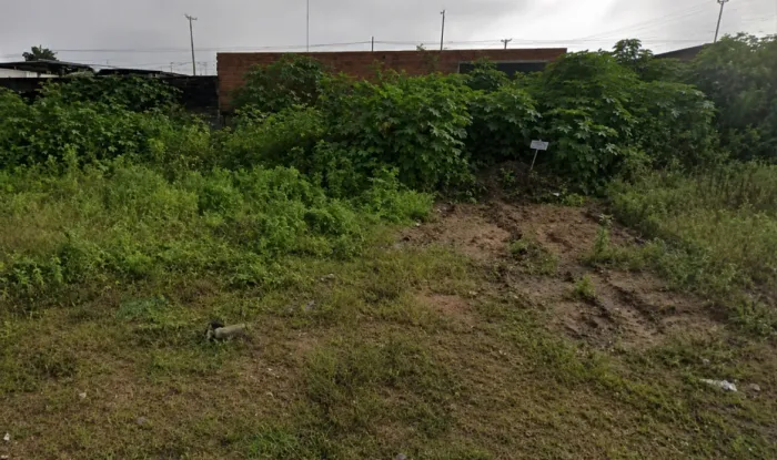 Terrenos à venda.