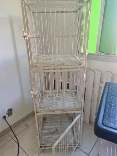 Canil banho e tosa