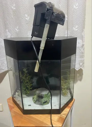 Aquário com filtro