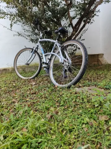 Bicicleta Caloi modelo 100