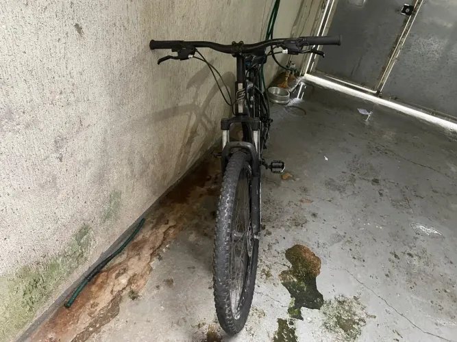 Bike Ever a venda!