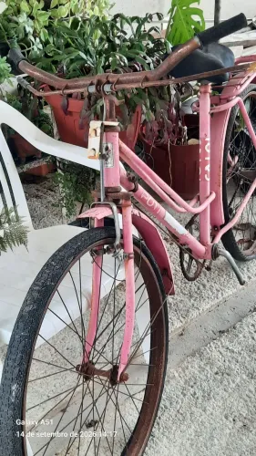 Sucata caloi poti aro 26