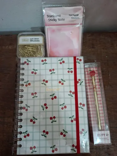 Kit 2 - Planner permanente Cerejinha Finaideia