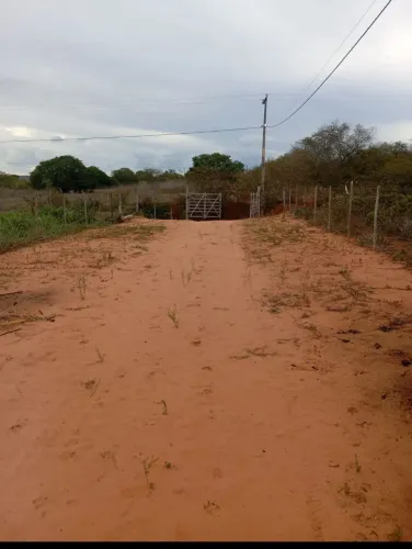 Vende-se um sítio [Ex: Terreno com 16.000m² / Pomar formado / Casa avarandada]