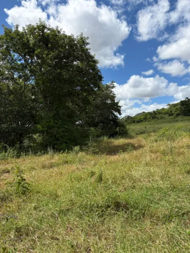 Fazenda terra de cultura