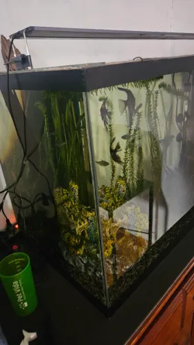 Aquario 130 Litros