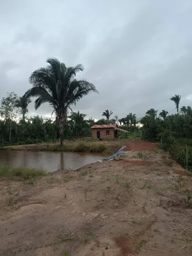 Vendo Rancho Natureza Rosário-MA