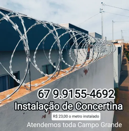 concertina galvanizada