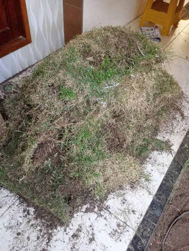 Vendo grama para jardim