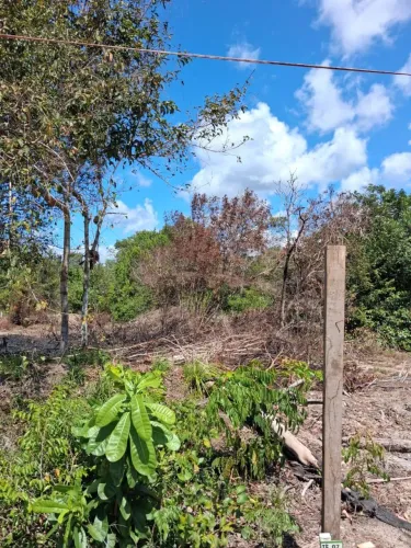 TERRENO PAJUÇARA