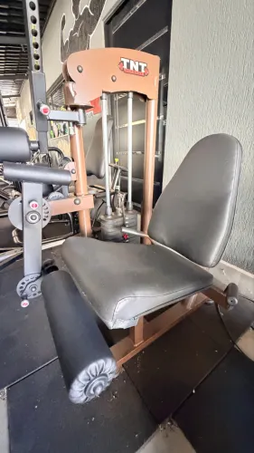 Vendo flexora e extensora