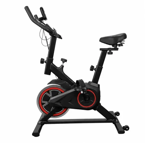 Bicicleta ergométrica
