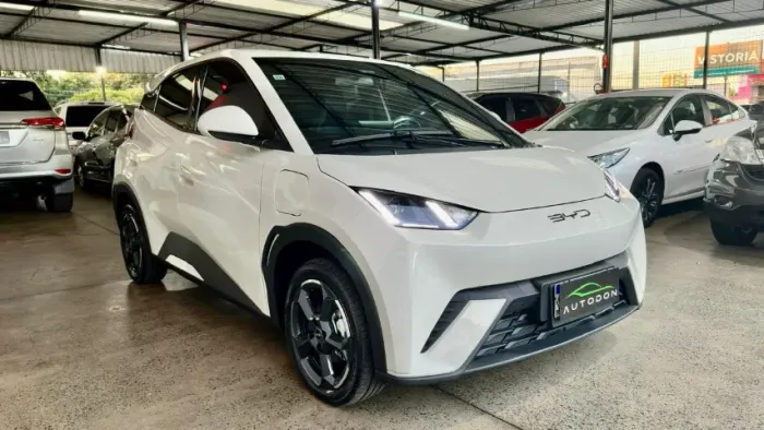 BYD Dolphin Mini (Elétrico) 2024