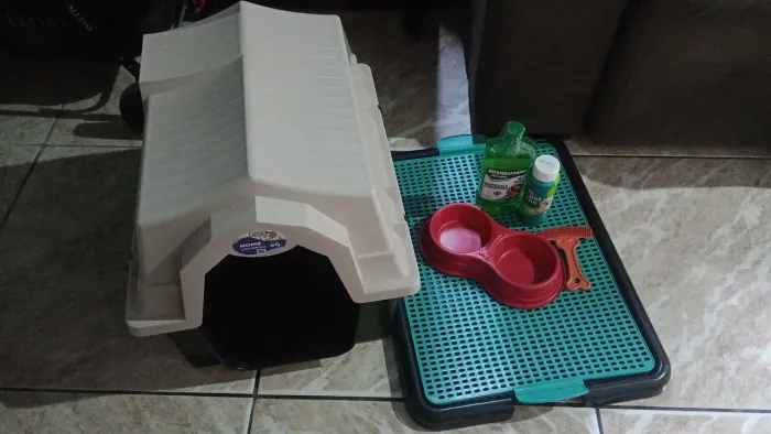 Coisas pra cachorro novo 