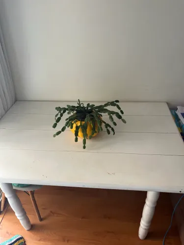 Mesa antiga