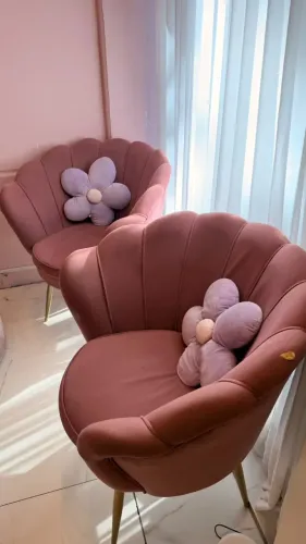 Poltrona Concha Rosa ? R$140 Cada