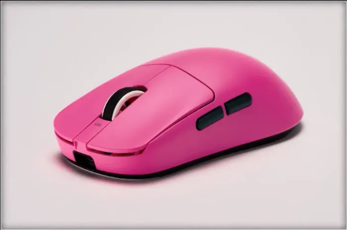 mouse