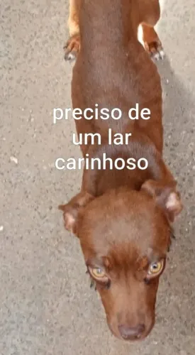 Humanização e muito amor