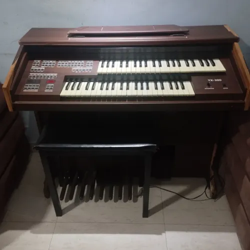 ÓRGÃO ORGANIST YX -200