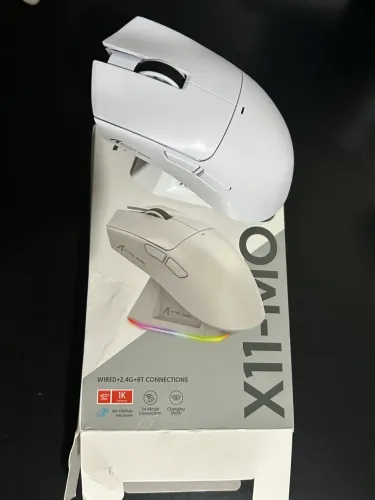 Mouse attack shark x11