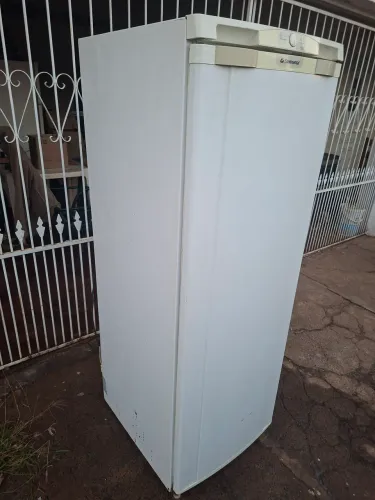 Geladeira eletrolux 300l.