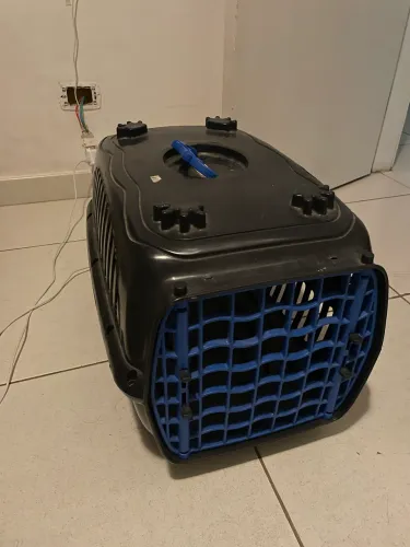 Caixa de gato