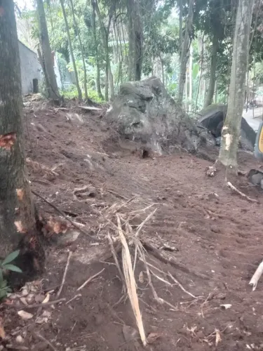 Terreno a 10 metros da rodovia