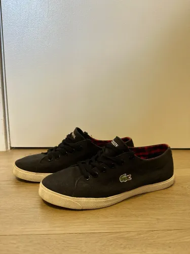 Tênis Lacoste Marcel Ivy Original Masculino