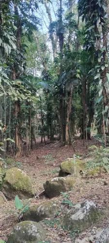 Vendo lote ou a área inteira sendo uma ilha em meio a mata atlântica , lugar para laser .