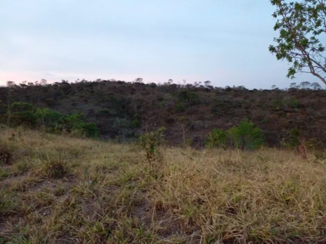 Vendo fazenda de 68 hectares, na região do Lago Corumbá III Aptidão: Pecuária