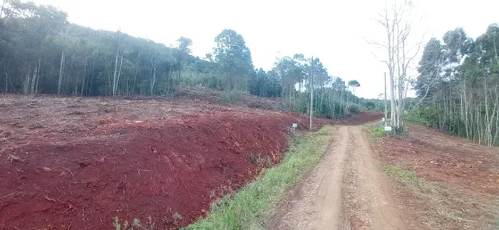 Chácara 21 hectares, valor 300,000,00 avista