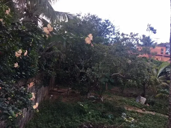 Terreno Monte Gordo 462m2 - Tem conversa no preço