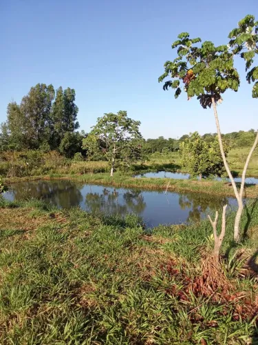 Chácara com 10 açudes - Criação Peixes - Terenos - MS