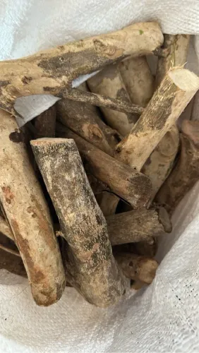 Lenha Frutífera Pitanga 