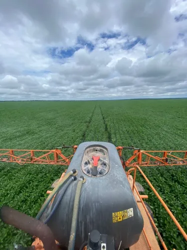 Faz 180 Alq plantando 20 anos 130 Alq em hec 630 hec