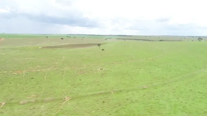 Fazenda arrendamento 3 mil hec Camapuã MS.  Ver descrição abaixo.