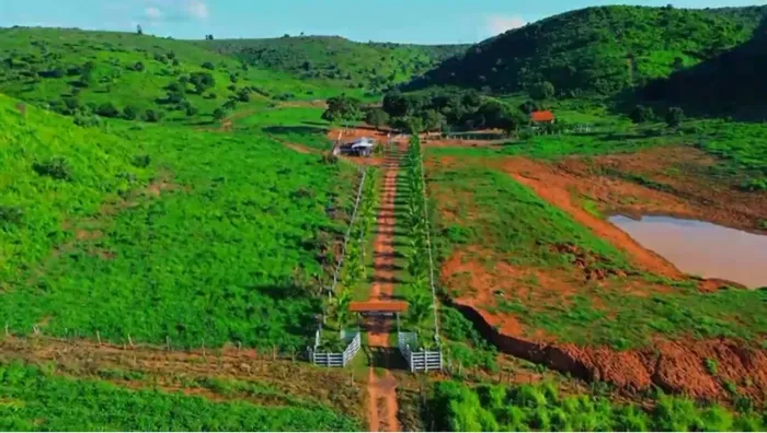 Vendo Fazenda 460 hectare São Domingos do Maranhão