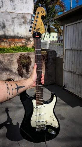 Tagima T735 Special Series | Wilkinson + Vintage V70 + Guyker