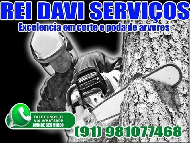 Corte e poda de árvores 