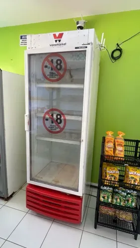 Freezer vertical