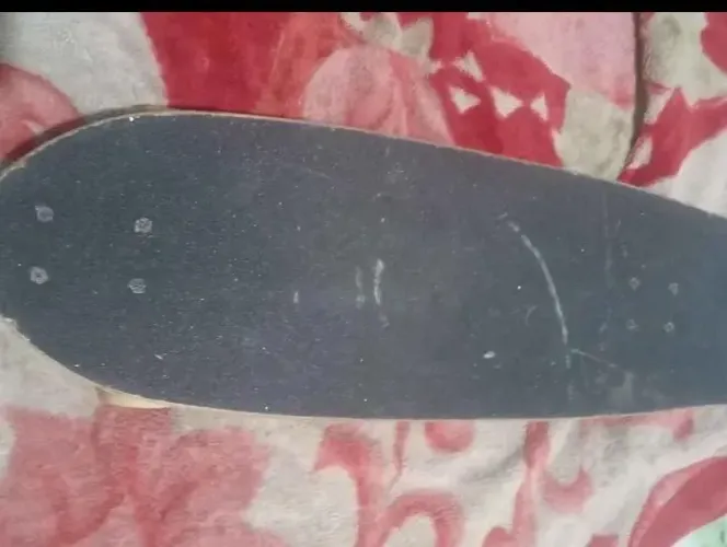 Skate mormaii