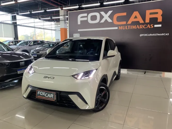 BYD Dolphin 2024
